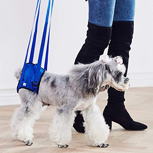 LYWYOUDDKH Dog Aid Assist Tool Arnés de elevación Ajustable para la Pierna Trasera Correa de Soporte para Mascotas - Azul # XXL