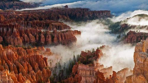 MIMORE Rompecabezas de rompecabezas para adultos, 1000 piezas, bosque de piedra en el parque nacional del cañón de Bryce (tamaño 1500 piezas (87 x 57 cm)