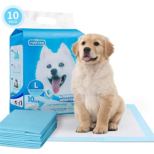 Nobleza - 100 x Empapadores Perros Alfombrilla higiénica de Entrenamiento para Perros. Ultraabsorbente 90cm*60cm.(10)