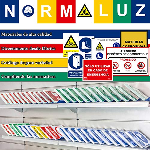 Normaluz RD14112 - Señal Luminiscente DesfibriLador Clase B PVC 0,7mm 22,4x30cm con CTE, RIPCI