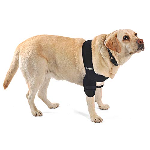 Ortocanis Órtesis de Codo para Perro con Artritis de Codo, higromas o dislocación de Hombro - Talla L