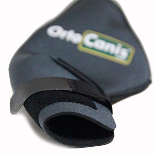 Ortocanis Protector de Rodilla para Perros Original - Lesiones de ligamentos Cruzados, luxación de rótula, artrosis - Talla M (Derecha)