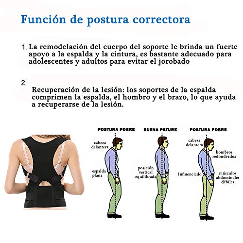 Panegy - Faja Correctora Postural Escoliosis Cifosis Torácia Corrector de Hombre Espalda Posutra Unisex para Hombre Mujer - Azul - XL