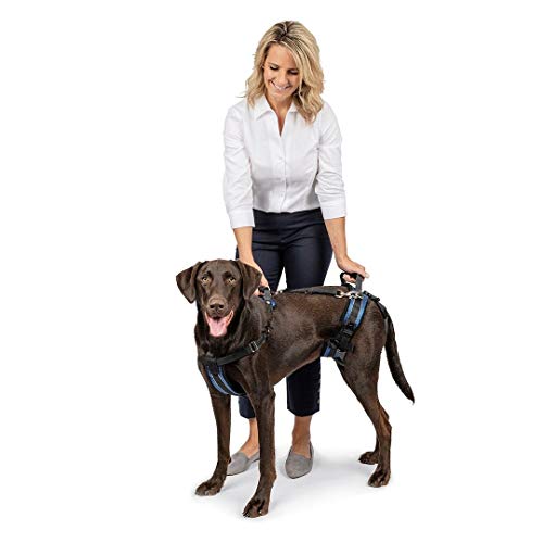 PetSafe Carelift - Arnés de Soporte - Soporte de Cuerpo Completo con Asa - Ideal para Perros Enfermos o Mayores - Material Transpirable y Cómodo - Fácil Ajuste - Perro Grande