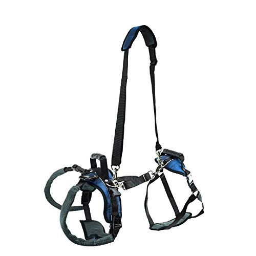 PetSafe Carelift - Arnés de Soporte - Soporte de Cuerpo Completo con Asa - Ideal para Perros Enfermos o Mayores - Material Transpirable y Cómodo - Fácil Ajuste - Perro Grande