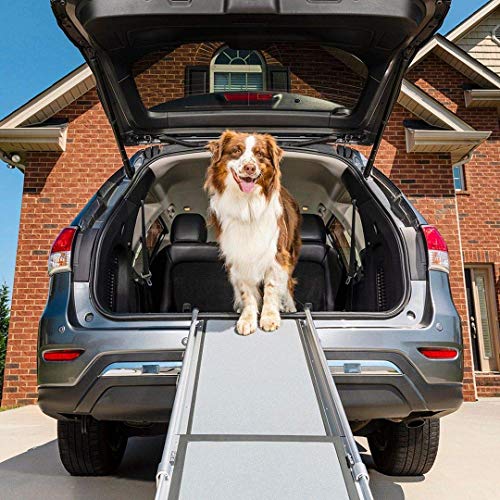 PetSafe Rampa telescópica para perros Happy Ride - Ligera y transportable para mascotas - Para automóviles, vehículos grandes y 4x4 - Marco de aluminio resistente que soporta hasta 181 kg