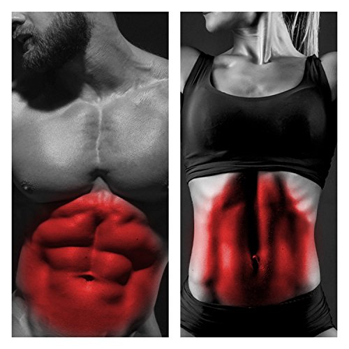 Plastimea Electroestimulador Abdominal Muscular Gluteos Masajeador Eléctrico Meabelt 1000 Cinturón para Hombre y Mujer Cinturón Abdominal EMS Abs Trainer