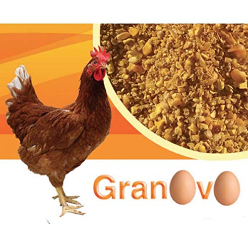 PROGEO GRANOVO - GRANAGLIA NATURALE PER GALLINE OVAIOLE DA 20 KG