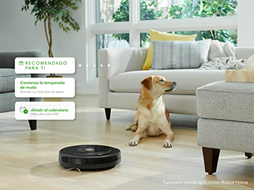 Robot aspirador con conexión Wi-Fi iRobot Roomba 671 - Tecnología Dirt Detect - Sistema de limpieza en tres fases - Sugerencias personalizadas - Compatible con tu asistente de voz