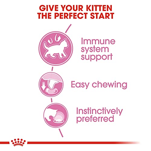 ROYAL CANIN Kitten Instinctive, Comida para Gatos - Paquete de 12 x 85 gr - Total: 1020 gr