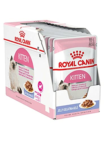 ROYAL CANIN Kitten Instinctive, Comida para Gatos - Paquete de 12 x 85 gr - Total: 1020 gr