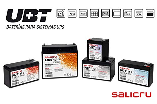 Salicru UBT 12/12 - Batería para SAI (12 Ah, 12 V)