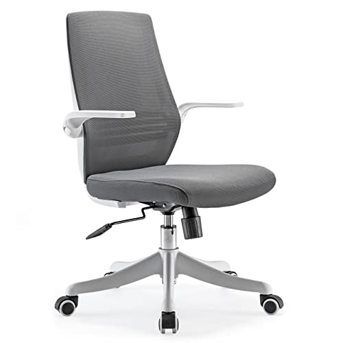 SIHOO Silla de Oficina ergonómica Moderna, giratoria de 360 ​​° con cómodo Soporte Lumbar y reposabrazos Plegables, Silla de computadora Ajustable en Altura con Ruedas silenciosas (Gris)