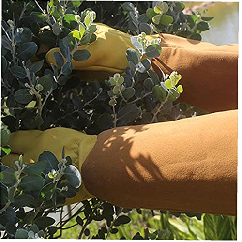 Soldadura Mangas de mano Resistente al calor de cuero con protección a alta temperatura Protección de espina larga Horno de jardinería Guanteletes M 1 par