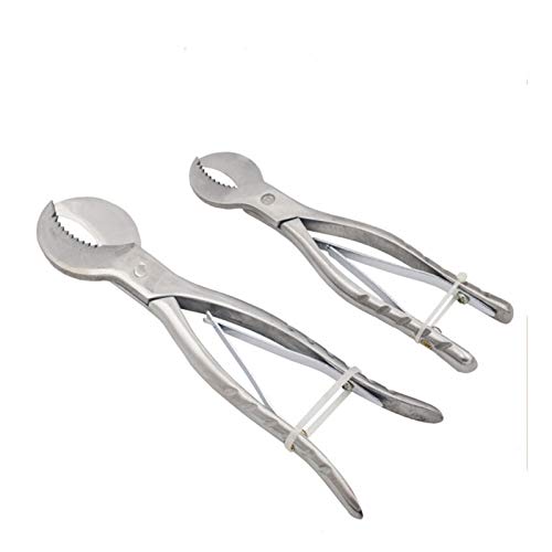 SSXPNJALQ Tijeras de Acero Inoxidable Dental Scissors de Acero Inoxidable Pinzas de Yeso Dental Gypsum Tijeras Dentistas Herramientas de Dentismo Equipo de Laboratorio (Color : S)