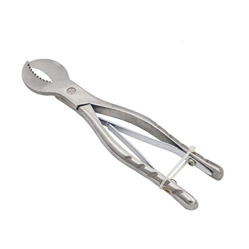 SSXPNJALQ Tijeras de Acero Inoxidable Dental Scissors de Acero Inoxidable Pinzas de Yeso Dental Gypsum Tijeras Dentistas Herramientas de Dentismo Equipo de Laboratorio (Color : S)