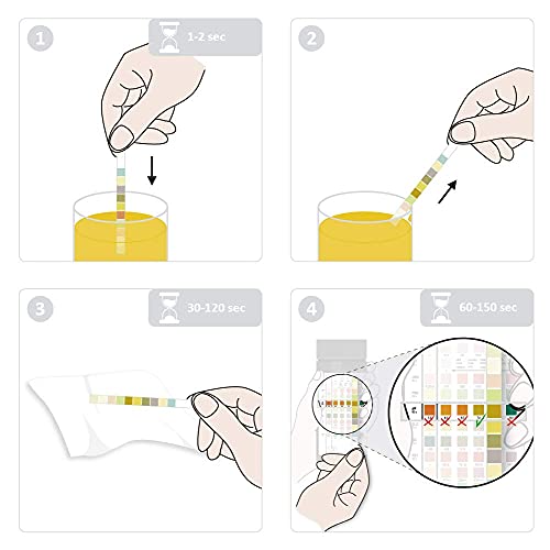 Test de orina Reactif con 11 parámetros - 100 tiras de test rápido de orina con escala de colores