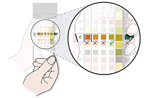 Test de orina Reactif con 11 parámetros - 100 tiras de test rápido de orina con escala de colores