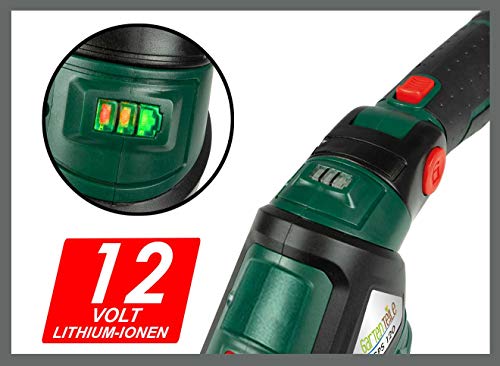 Tijeras 3 en 1 con batería para césped, arbustos, pulverizador a presión (corte y corte de hierba, borde de césped, pulverización de plantas, incluye batería de 12 V y cargador rápido