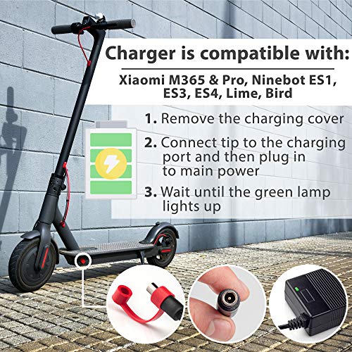 Vestigia® - Cargador de Batería para Xiaomi M365 y Pro, 42v 2A Adaptador Enchufe Universal de UE, Cargadores de Scooter Eléctrico, Patinete Litio Baterias Segway