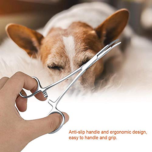 ViaGasaFamido Pinza hemostática de Acero Inoxidable de 4.9 Pulgadas/5.5 Pulgadas Mosquito Mascota Perro Gato Pelo Pinzas Pinzas Pinza hemostática Limpieza de oídos Abrazadera Curvada(Large)