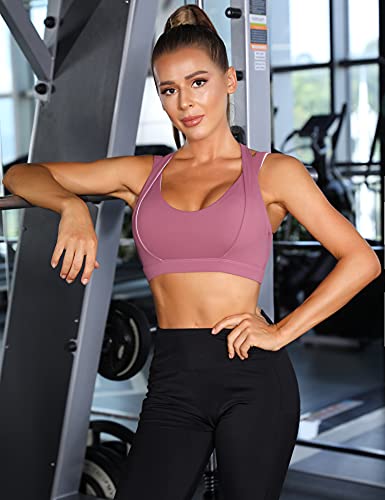 Wayleb Sujetador Deportivo Mujer Alto Impacto Sujetador Push Up Inalámbrico Cremallera Frontal con Almohadillas Extraíbles Sports Bra Cómodos Suave para Yoga Running,Morado,L