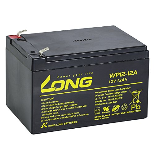 WP12-12 - Batería de plomo (12 V, 12 Ah, con VDs)