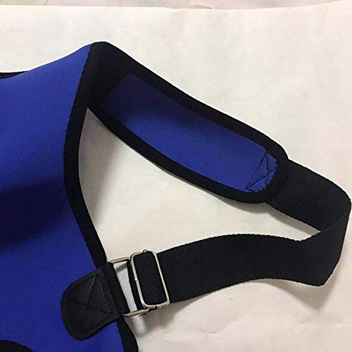 YLLN Azul Masculino Femenino Corregidor de Postura Ajustable Corsé Espalda Cinturón Soporte Lumbar Corrector Recto De Espalda Niños (Color: Azul, Talla: M)