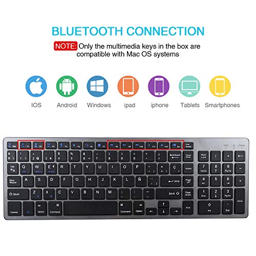 Z Zienstar- Teclado Bluetooth Español,Teclado Inalámbrico Estándar Recargable con Teclado Numérico para Computadora Portátil, Computadora de Escritorio,Tableta,Windows iOS,Android (Gris)