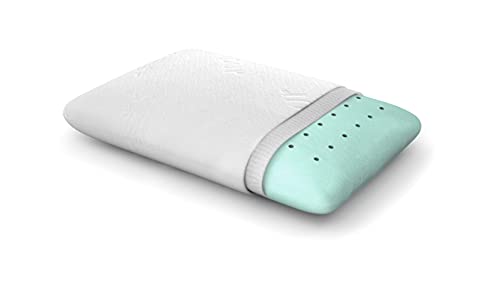 ZenPur Almohada Cervical Viscoelástica Bambú Orgánico – Almohada Hipoalérgenica Firmeza Media - Anti Ácaros con Funda de Bambú y Memory Foam – Relleno Cojín 40 x 60 cm