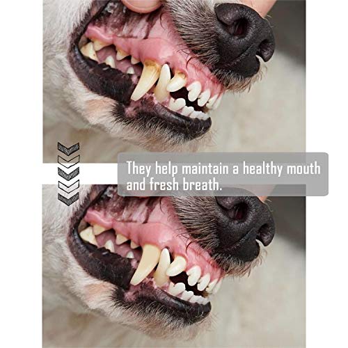 12 Pcs Hueso Prensado para Perros Piel Vacuno Fortalecedor de Dientes Stick Dental Dog Snack 14 cm (12 Pcs) BPS-5000 * 12