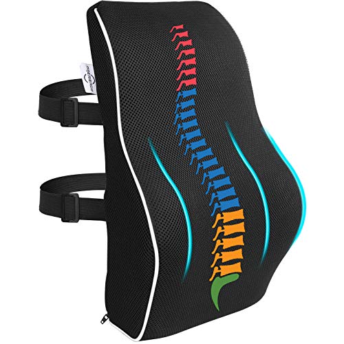 Almohada de Soporte Lumbar Ergonómica AMERIERGO para Alivio del Dolor de Wspalda, Ideal para El Hogar, Oficina, Coche, Silla de Ruedas