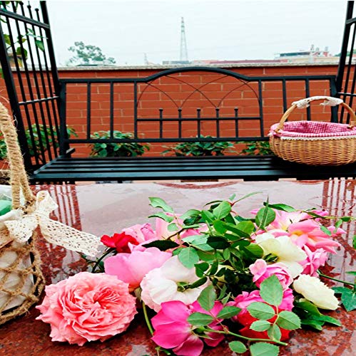 Arco de Jardín de Hierro Forjado con Silla Al Aire Libre Vine Rose Clematis Soporte de Escalada Decoración de Celebración de Bodas Soporte de Flores Arcos de Jardín para Varias Plantas Trepadoras