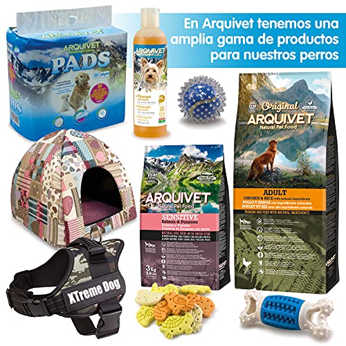 ARQUIVET - 2 Medios Huesos de jamón Serrano 100% Natural - Snacks Naturales para Perros de Todas Las Razas - Premios para Perros - Fortalecedor de Dientes - Hueso para Masticar Perros