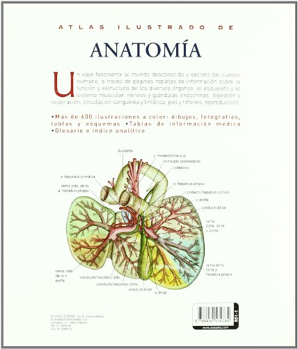 Atlas Ilustrado De Anatomia (Tapa Dura)