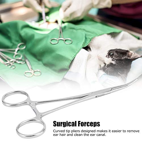 Belissy 16cm hemostático quirúrgico hemostático Pinzas de Acero Inoxidable Curvo Consejo Alicates Pinzas de Pelo del Animal doméstico