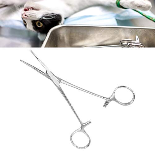 Belissy 16cm hemostático quirúrgico hemostático Pinzas de Acero Inoxidable Curvo Consejo Alicates Pinzas de Pelo del Animal doméstico