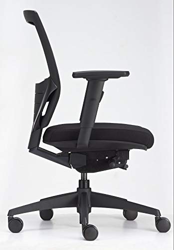 BenS 807-Synchro-3 - Silla de oficina ergonómica de lujo, también adecuada para personas más grandes, muchos asientos profundos, apoyo lumbar, respaldo ajustable, reposabrazos 3D, ARBO/NEN-1335