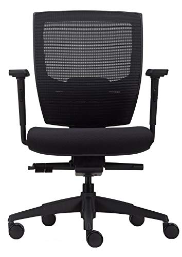 BenS 807-Synchro-3 - Silla de oficina ergonómica de lujo, también adecuada para personas más grandes, muchos asientos profundos, apoyo lumbar, respaldo ajustable, reposabrazos 3D, ARBO/NEN-1335