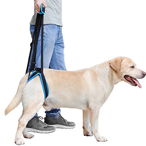 BePetMia Arnés De Soporte para Perros, Arnés De Patas Traseras, Ayuda A Levantar Las Patas Traseras, Soporte para Ancianos, Heridos, Enfermos Y Discapacitados (XL)