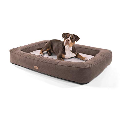 brunolie Bruno Cama para Perros Muy Grande, Lavable, higiénica y Antideslizante, Cama para Perros ortopédica con cojín y Material Superior Transpirable Beige, Tamaño XL (120 x 85 x 17 cm)