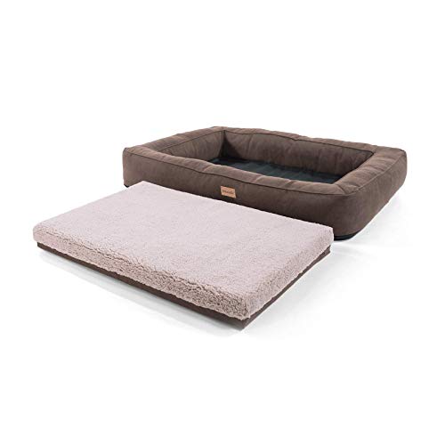 brunolie Bruno Cama para Perros Muy Grande, Lavable, higiénica y Antideslizante, Cama para Perros ortopédica con cojín y Material Superior Transpirable Beige, Tamaño XL (120 x 85 x 17 cm)