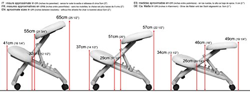 cinius Silla ergonómica Profesional Color Crema/Negro sin Respaldo