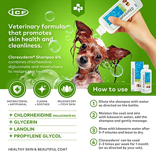 Clorexyderm Champú para perros, cachorros y gatos con picores - Antibacteriano y antifúngico, 4% clorhexidina - 250ml