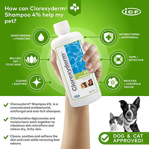 Clorexyderm Champú para perros, cachorros y gatos con picores - Antibacteriano y antifúngico, 4% clorhexidina - 250ml