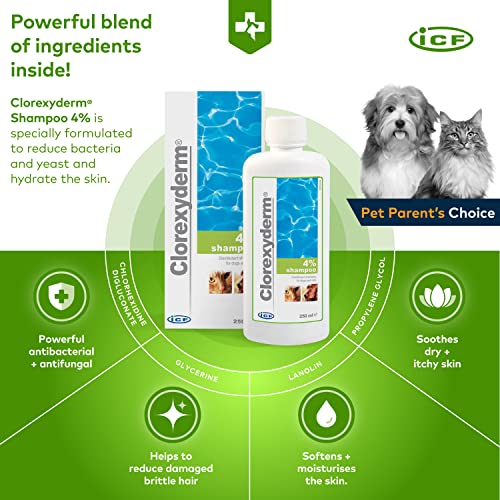 Clorexyderm Champú para perros, cachorros y gatos con picores - Antibacteriano y antifúngico, 4% clorhexidina - 250ml