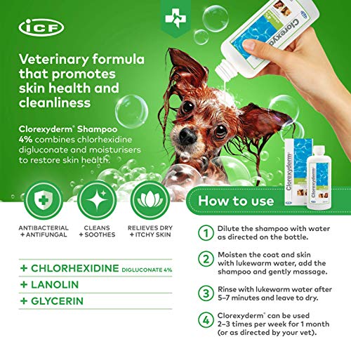 Clorexyderm Champú para perros, cachorros y gatos con picores - Antibacteriano y antifúngico, 4% clorhexidina - 250ml