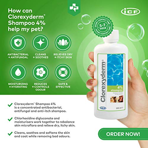 Clorexyderm Champú para perros, cachorros y gatos con picores - Antibacteriano y antifúngico, 4% clorhexidina - 250ml