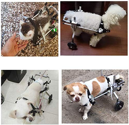 Cora Pet Scooter para Mascotas, Soporte Auxiliar Grande Silla De Ruedas Paralizada Perro Discapacitado Aleación De Aluminio Ultra Ligero Implementación Común Fácil De Usar Ajustable (20-60kg)