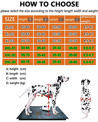 Cora Pet Scooter para Mascotas, Soporte Auxiliar Grande Silla De Ruedas Paralizada Perro Discapacitado Aleación De Aluminio Ultra Ligero Implementación Común Fácil De Usar Ajustable (20-60kg)